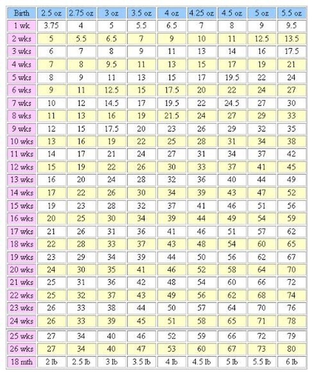 45+ English Bull Terrier Weight Chart l2sanpiero